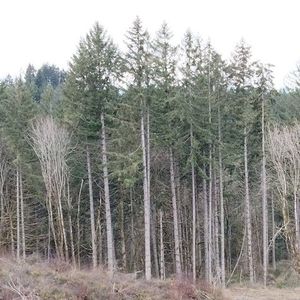 Meet your Posher, Felix chacón cerriteño